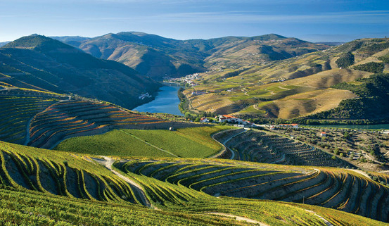 A glass of red wine in a vineyard on the Iberian Peninsula